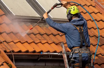 Démoussage et hydrofuge de toiture à Cheminas